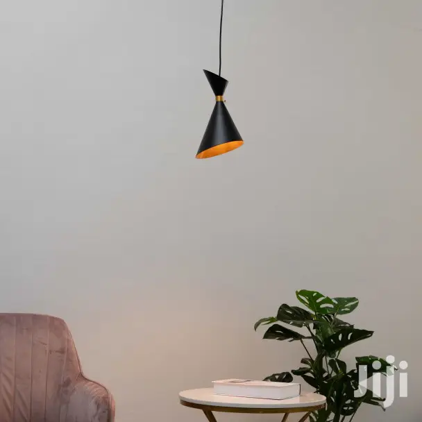 Dual Cone Pendant Light