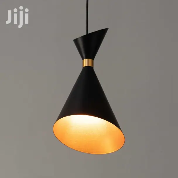 Dual Cone Pendant Light