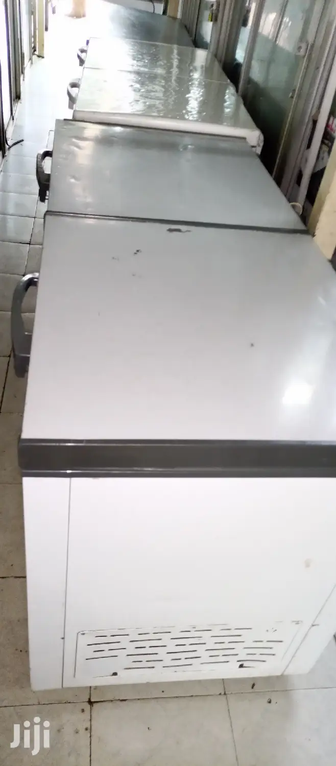Double Door Freezer
