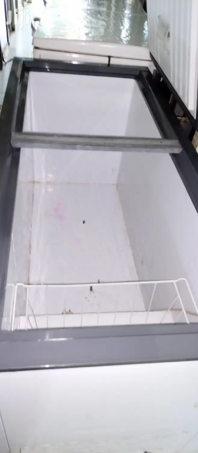 Double Door Freezer