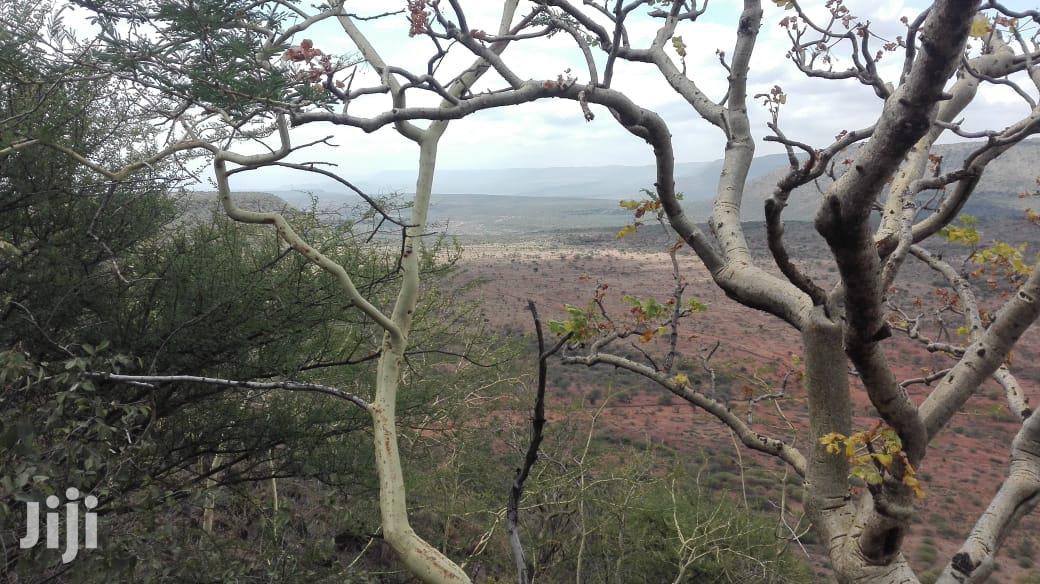Scenic 31 Acres Lentoko at 450k Per Acre