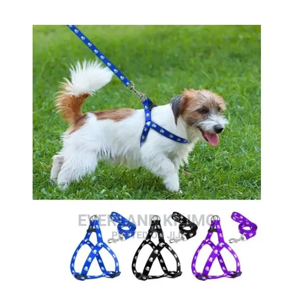 Dog Leash and Harness Set - Chihuahua/Spitz
