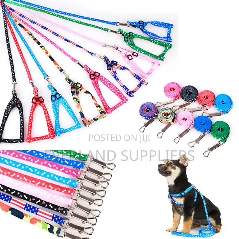Leash and Harness for Small Puppies