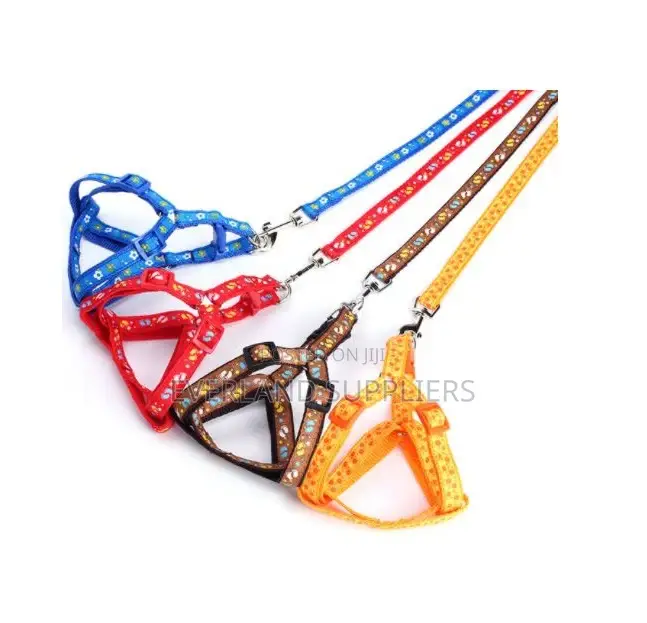 Leash and Harness for Small Puppies