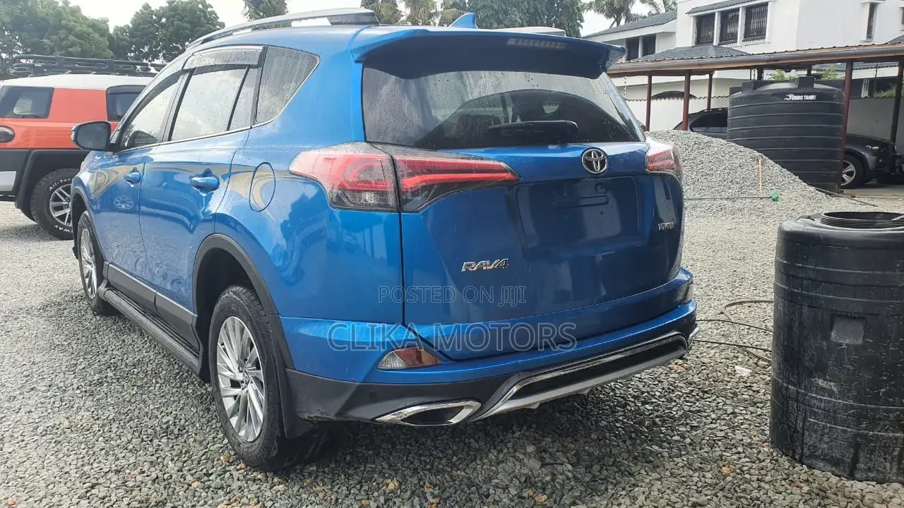 Toyota RAV4 2018 Other