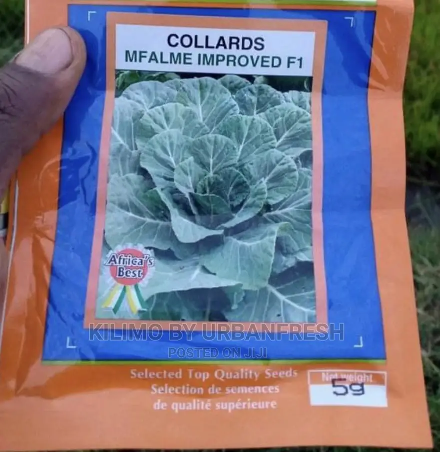 Seeds : Vegetables / Herbs / Fodder / Grains / Lawns.
