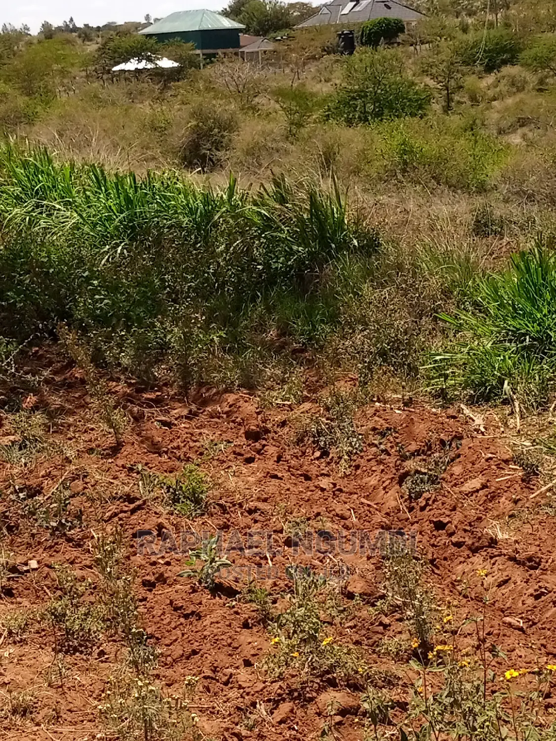 Land for Sale at Vota
