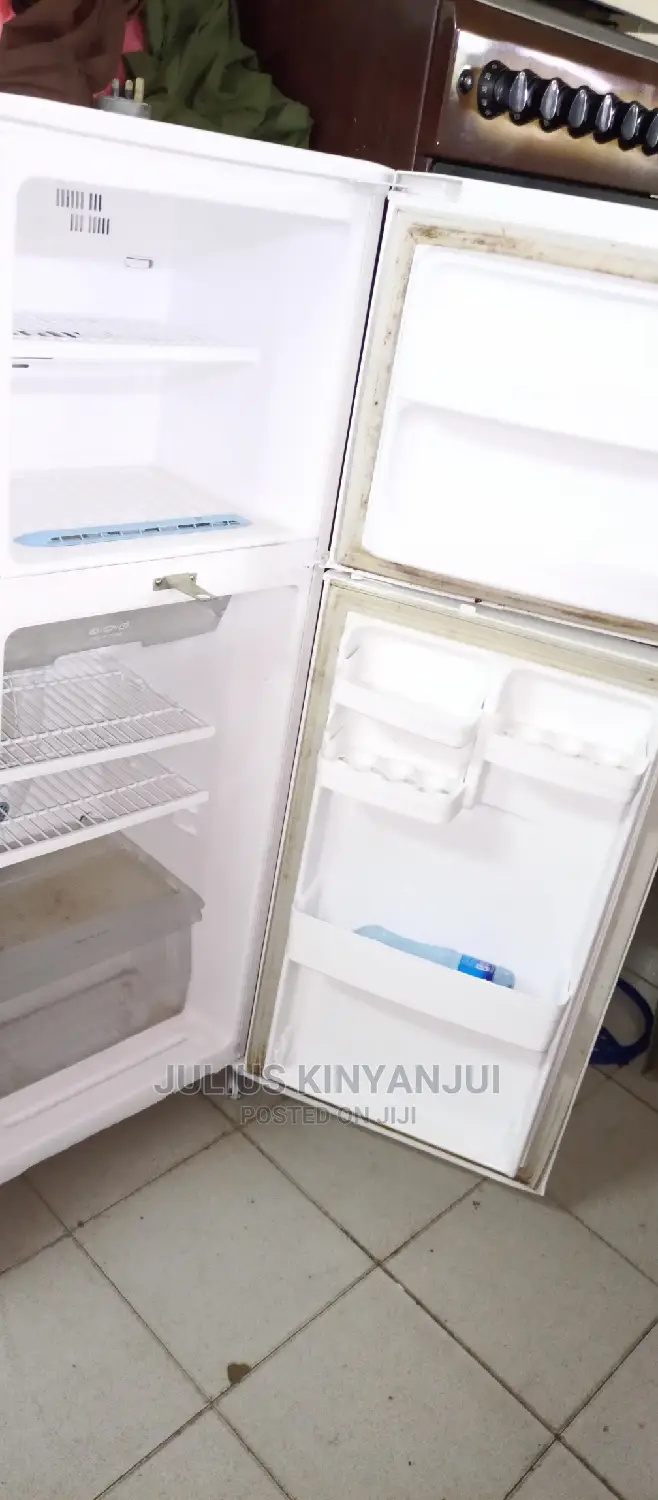 Double Door LG Fridge