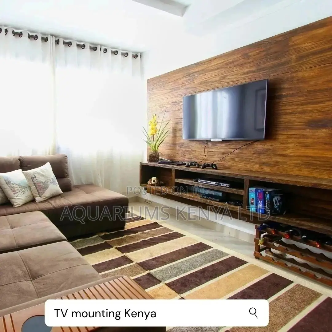 Tv Wall Mounting Professional Services