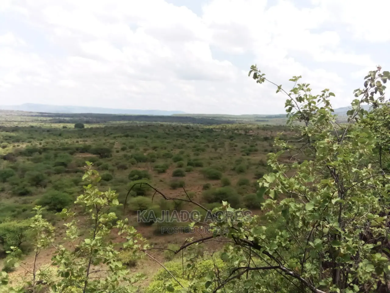 Scenic 15 Acres Nkorika