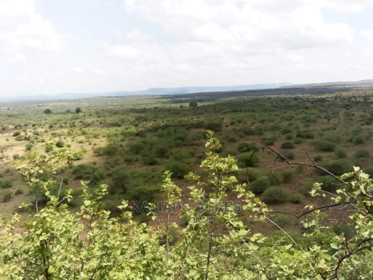 Scenic 15 Acres Nkorika