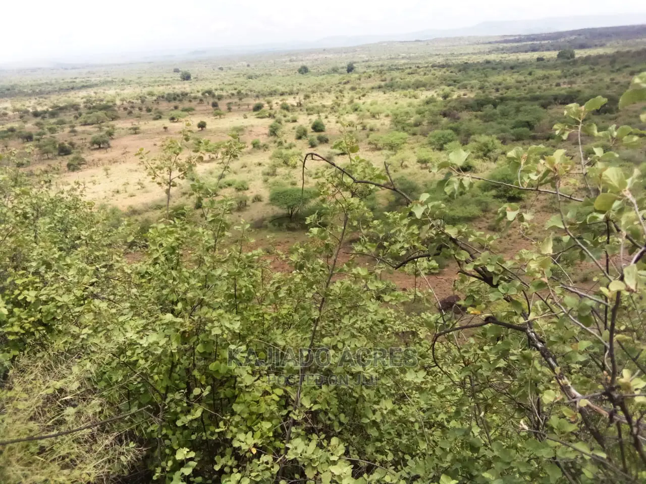 Scenic 15 Acres Nkorika