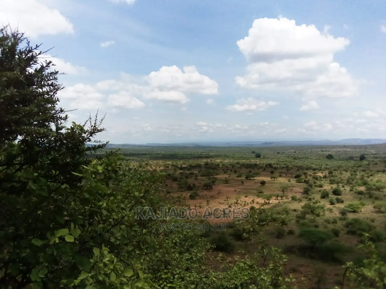Scenic 15 Acres Nkorika