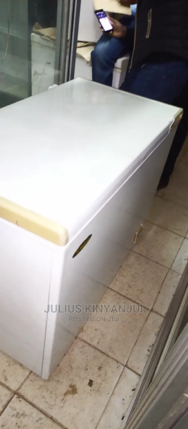 Deep Freezer 300L