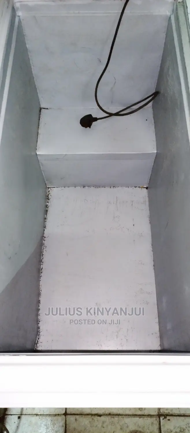 Deep Freezer 300L