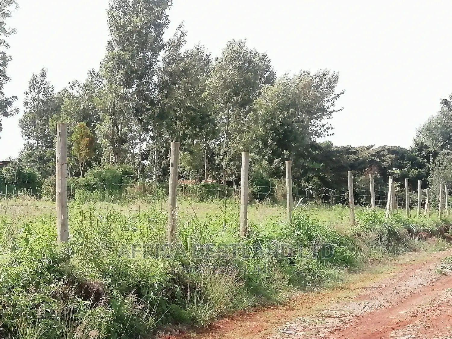 100x100 Ft Plot for Sale in Gikambura Kikuyu Kiambu County