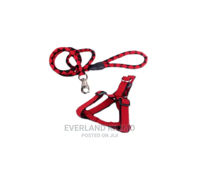 Dog Leash And Harness