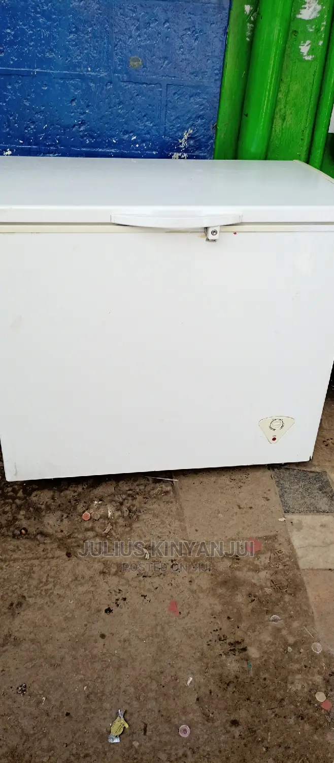 300L Deep Freezer