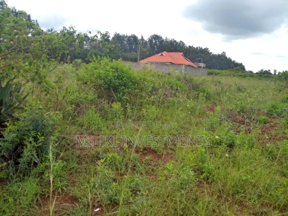 1/4 Acre of Land at Mbombo(Maragua)