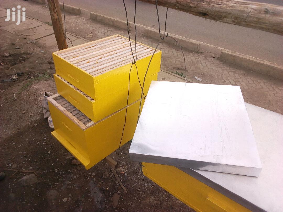 Modern Profitable Honey Bee Hives For Sale