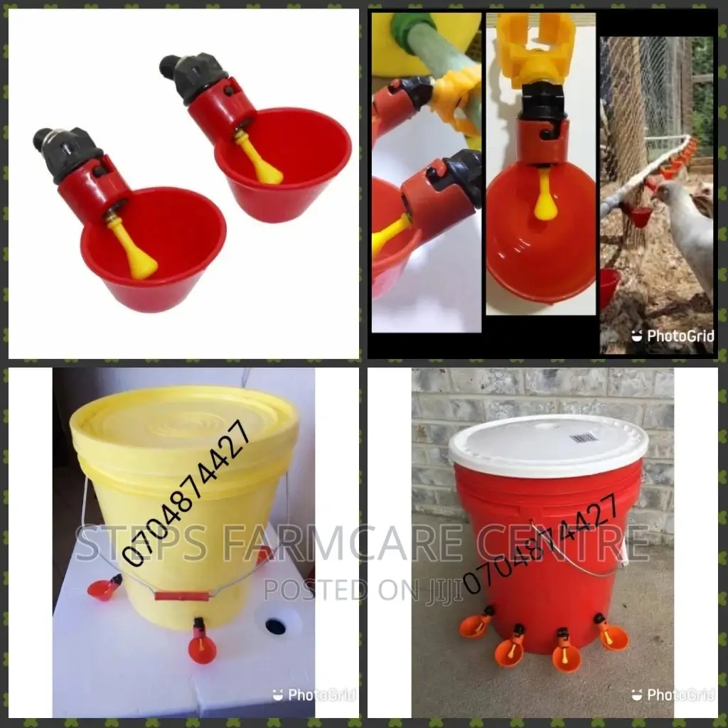 Automatic Chicken Cup Drinkers