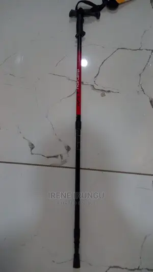 Hiking Stick