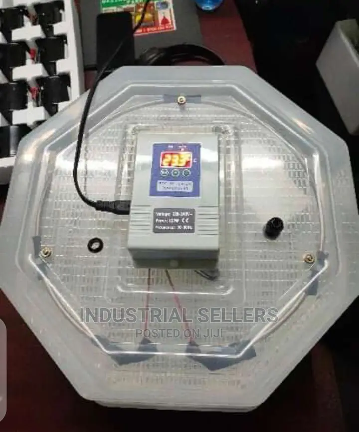 High Durable 60 Egg Incubator