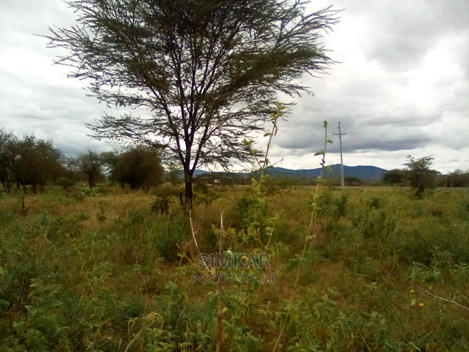 153-Acres of Land in Ngatataek Town- Namanga Road