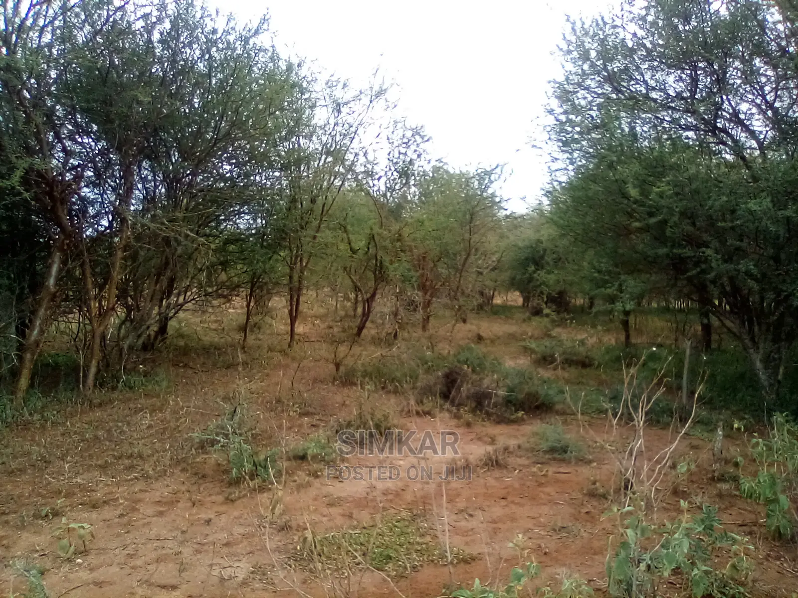 153-Acres of Land in Ngatataek Town- Namanga Road