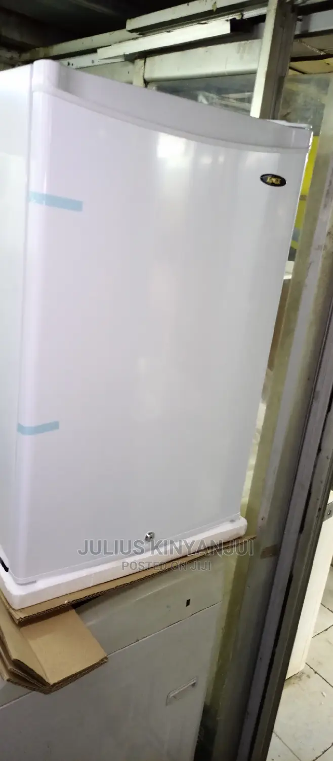 Upright Freezer 100L