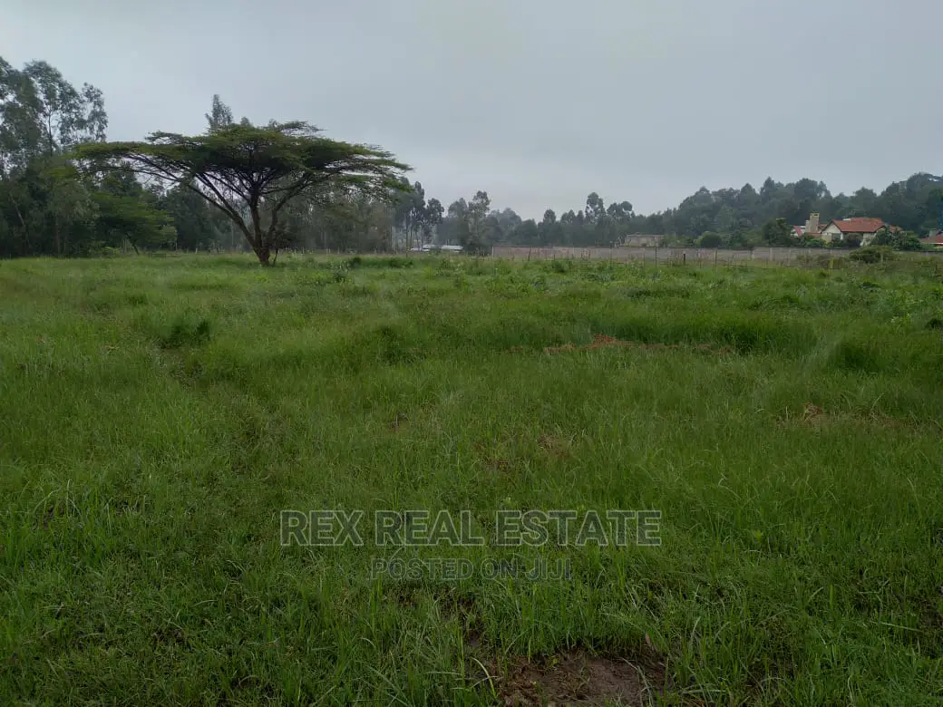 Beautiful 1/2 Acre Plot in Karen for Quick Sale