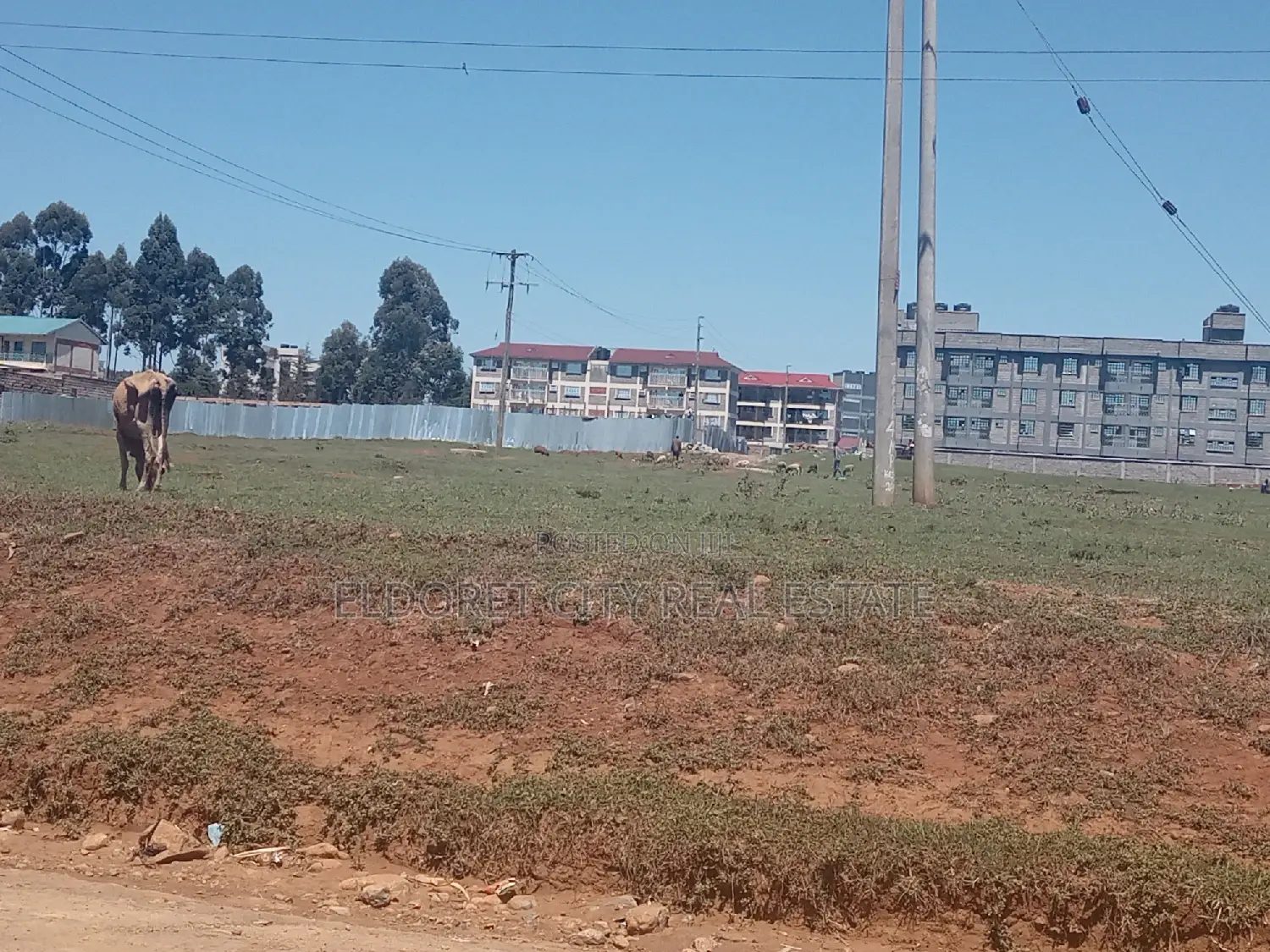 1/4 Plots Annnex Nairobi - Eldoret 100metres From Tarmac