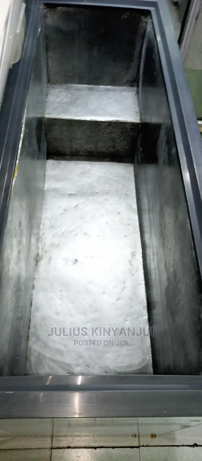 Big Deep Freezer 660L