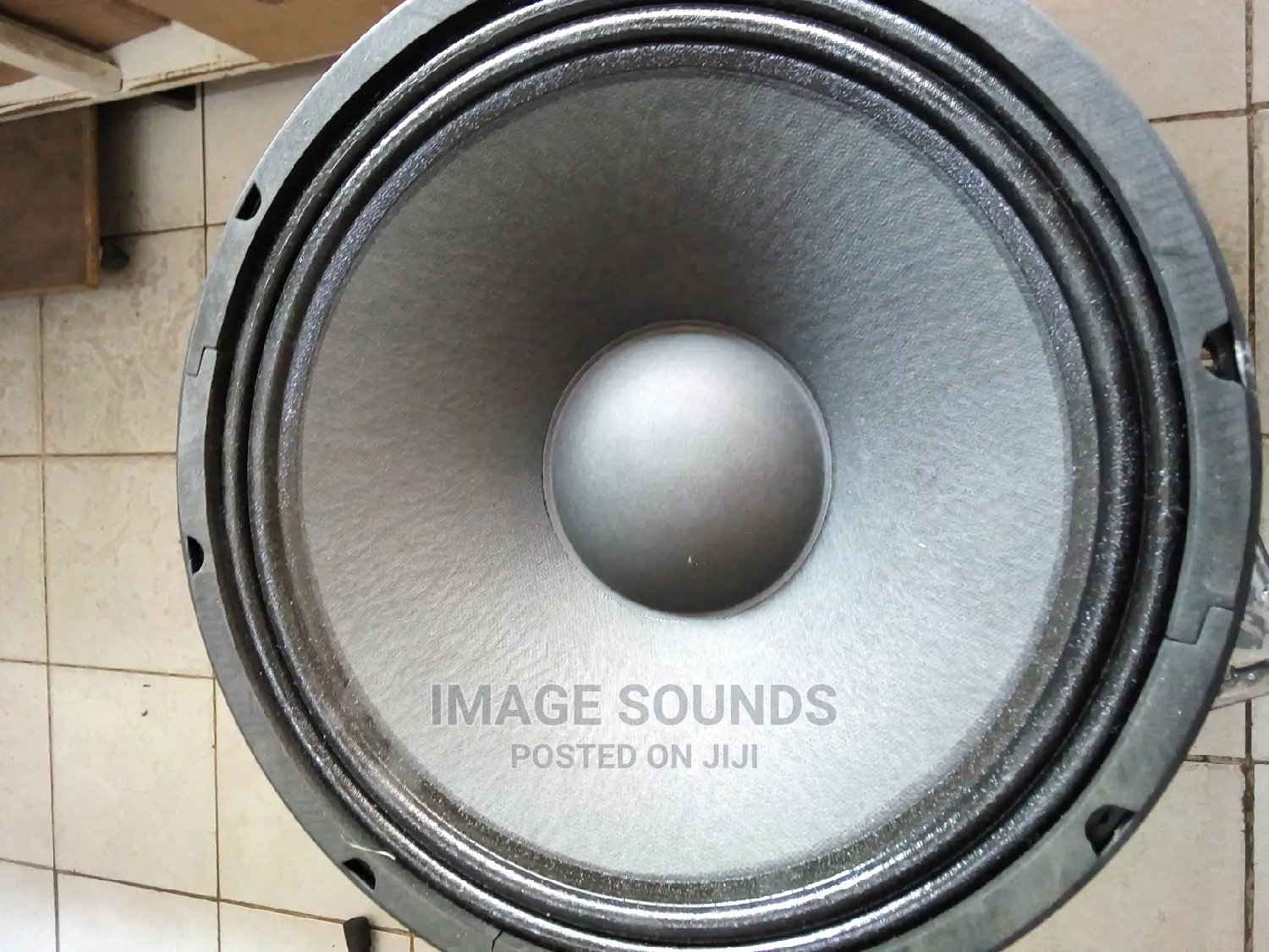 12" Speaker