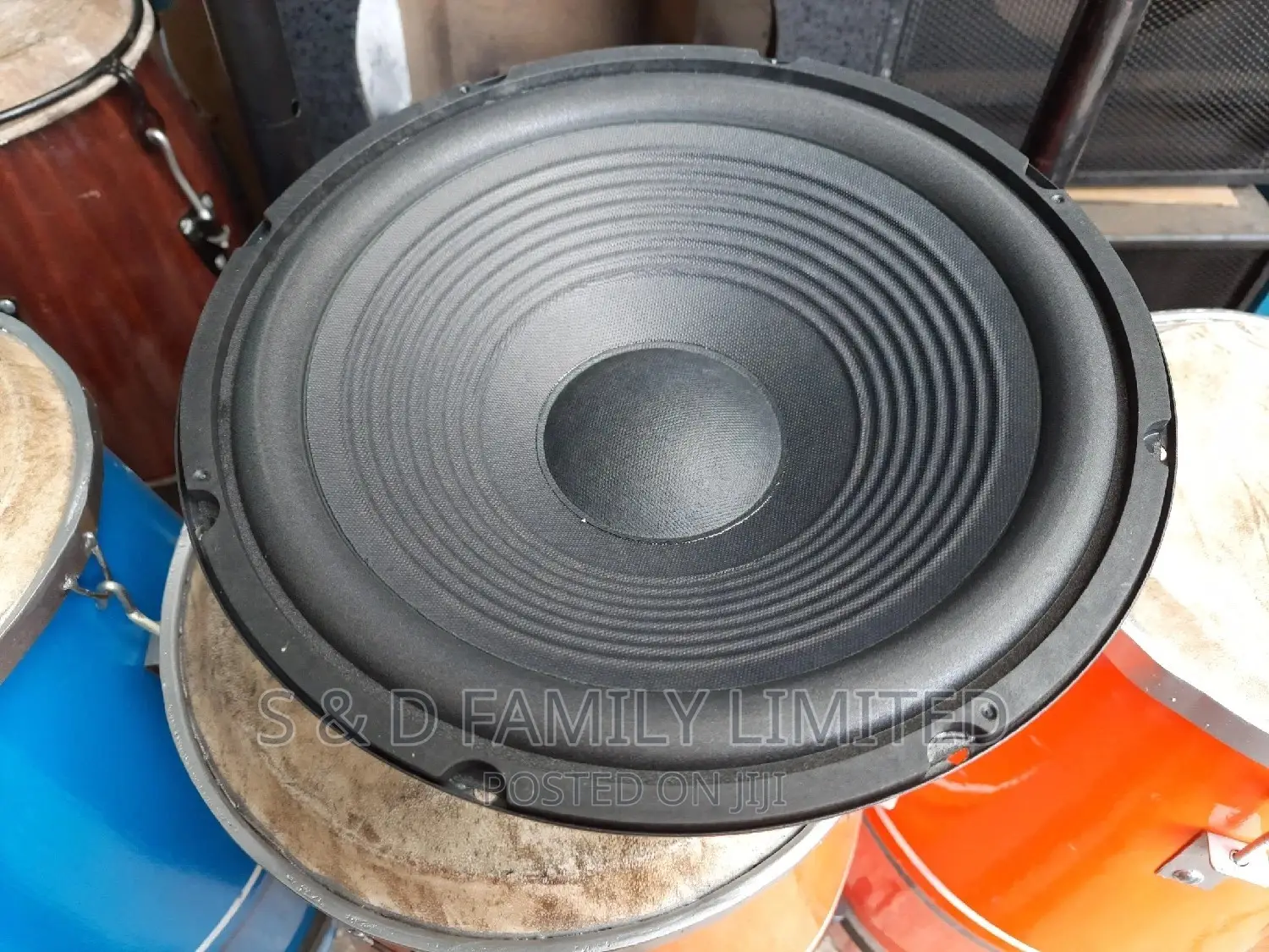 Sign Audio 12 Inch Speaker