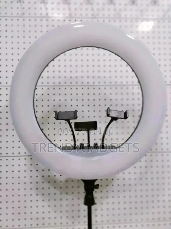 21 Inch Led Variable Color Round Beauty Led Video Light