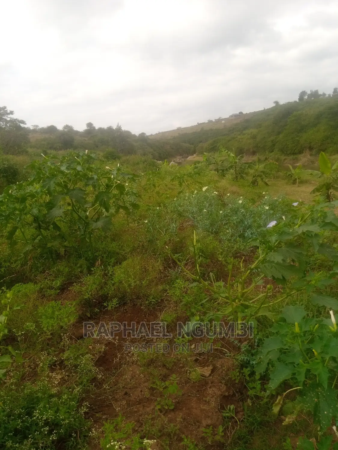 Irrigation Land at Machakos