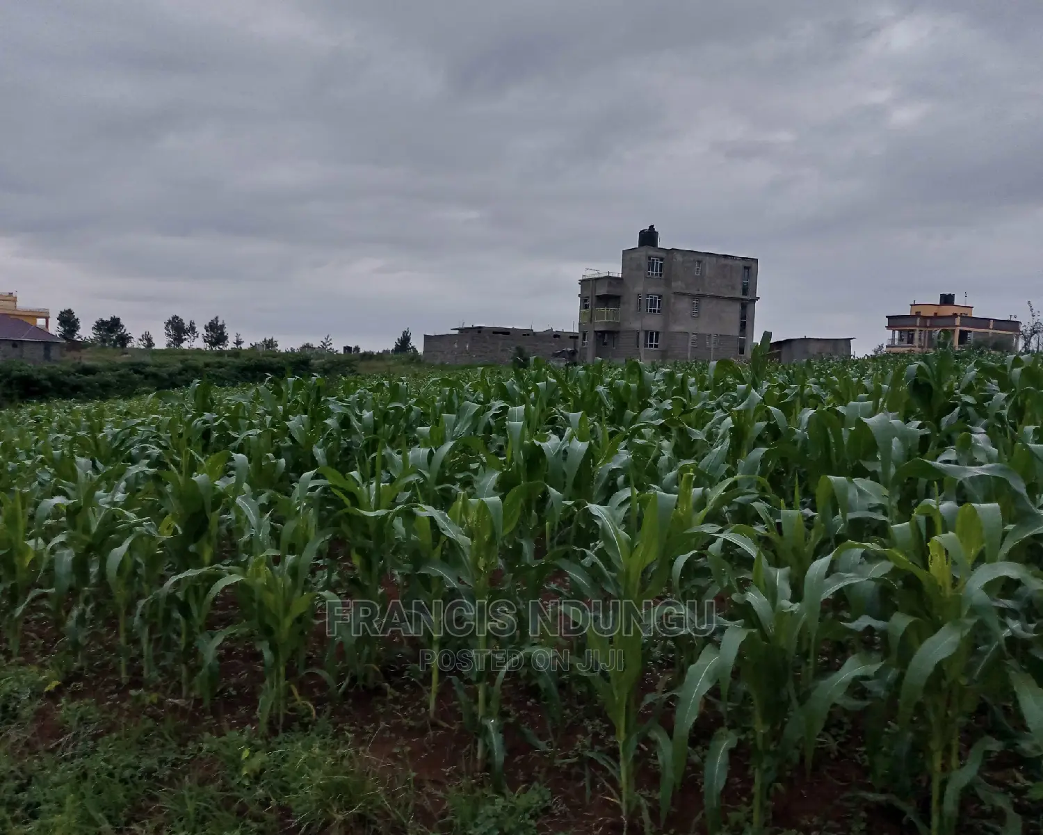 Residential Plot in Kiora Estate Kirigiti Migaa Rd.