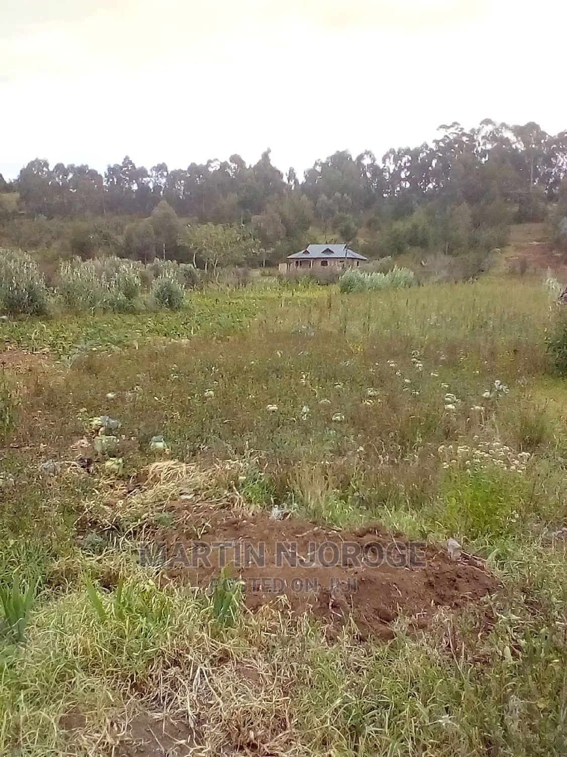 100 by 100 Mwendandu ( Heni Area) South Kinangop