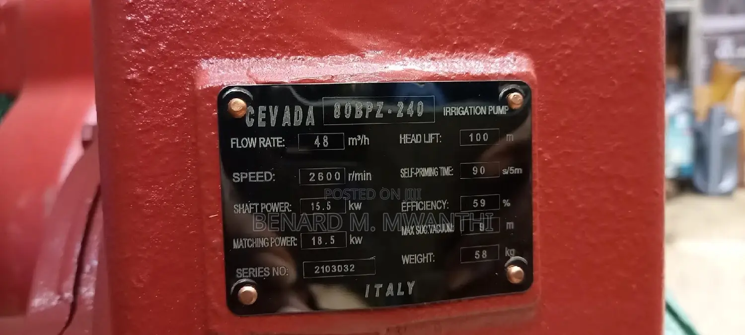 Italian Bare Pumps