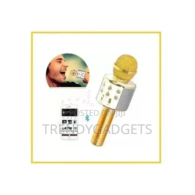 Karaoke Mic With Built-in Speakers