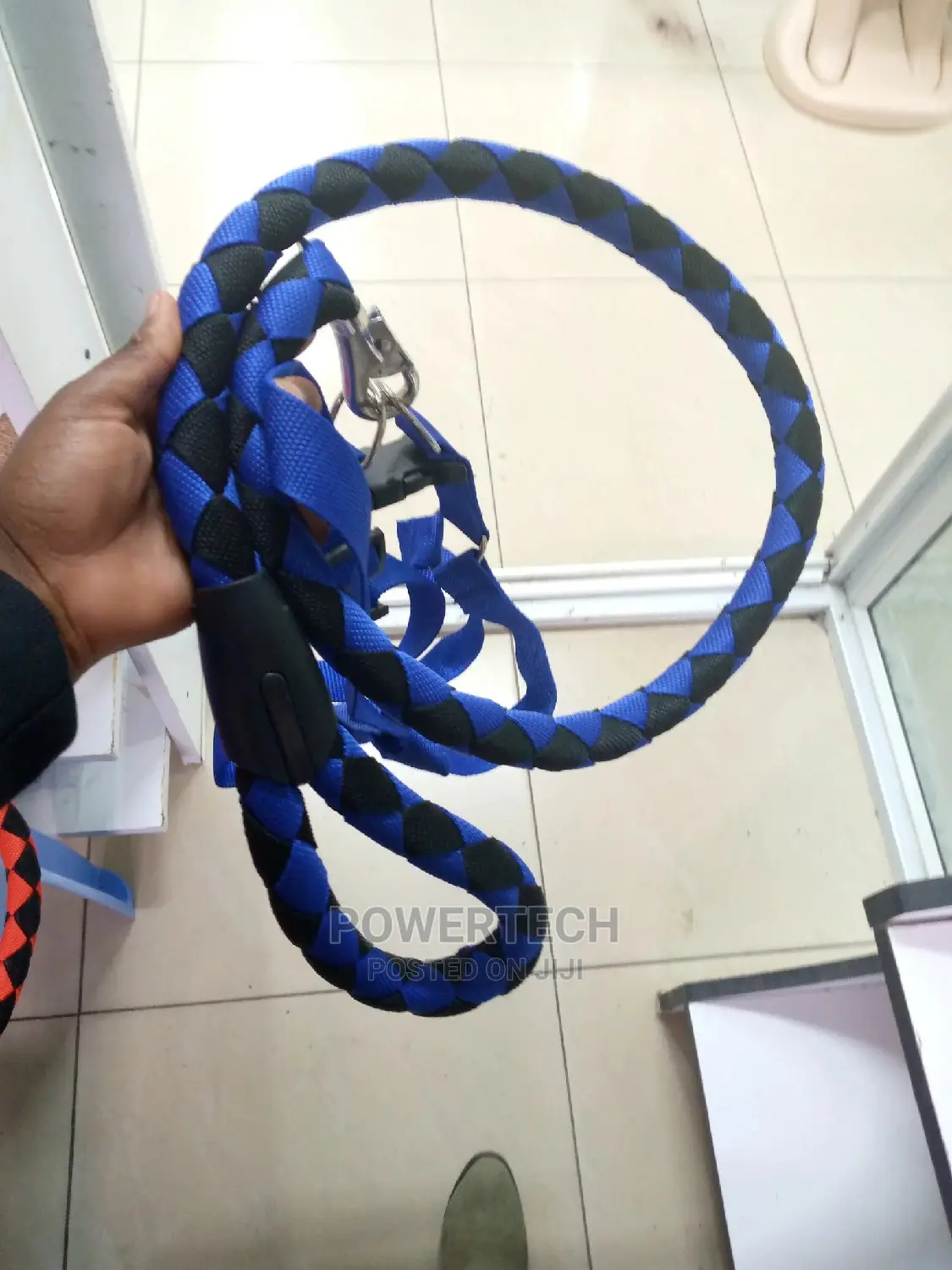 Dog Leash- Blue