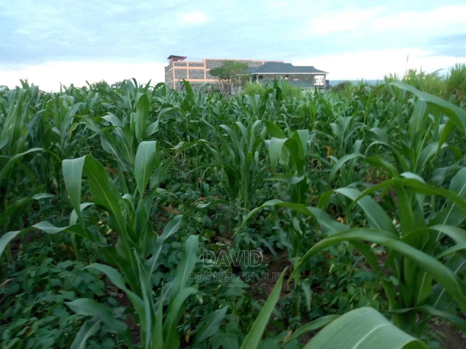 Plot for Sale in KITI Makao Project