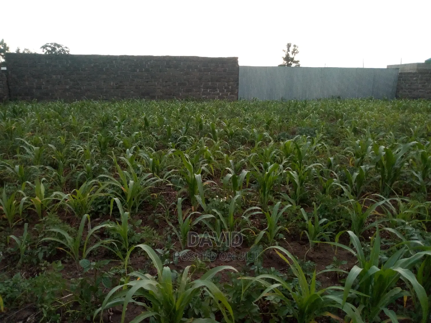 Plot for Sale in KITI Makao Project