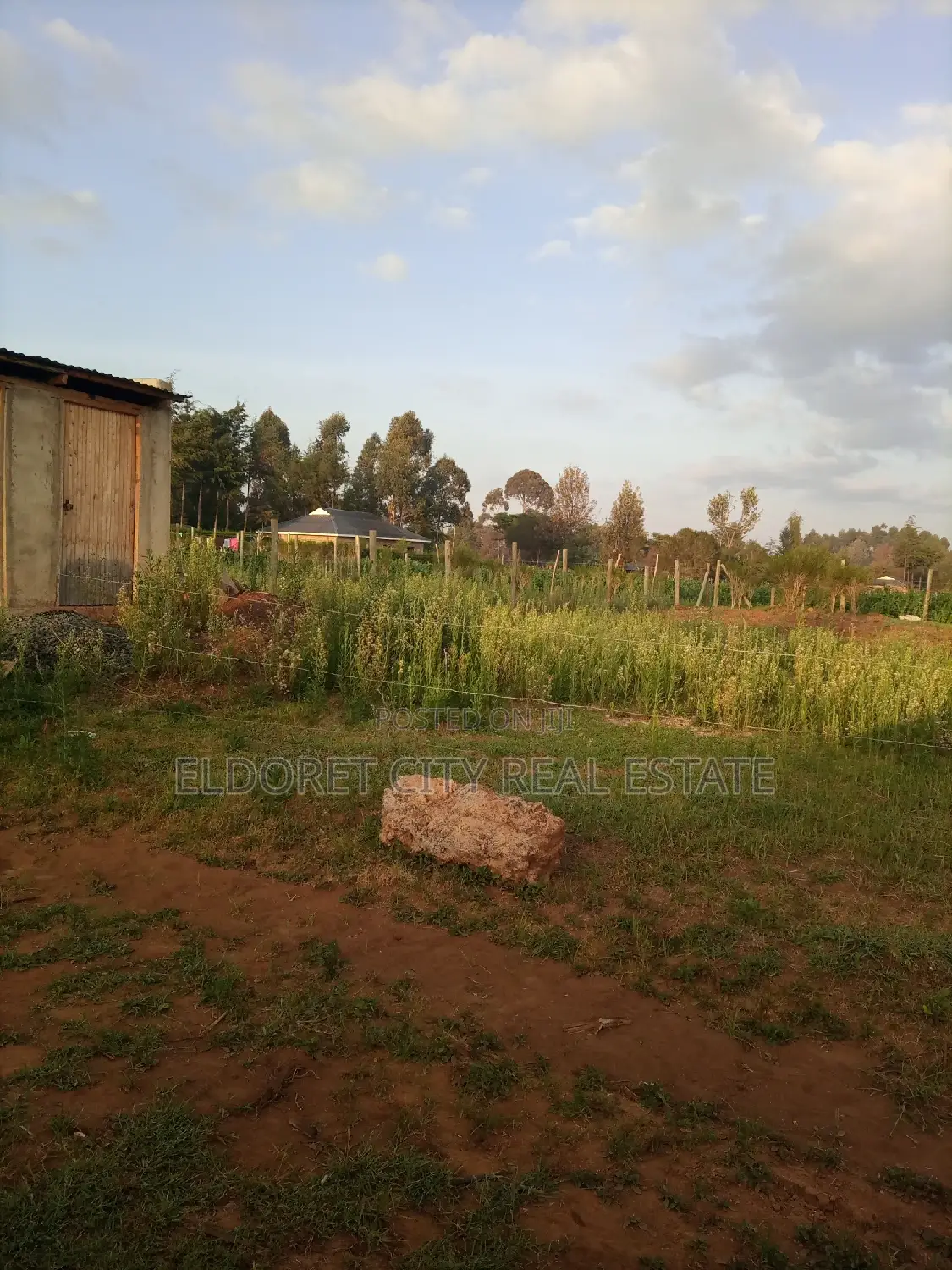 1/4 Plot Marura Ideal for Residential With Title
