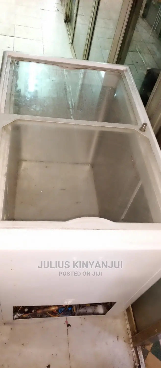 Deep Freezer 300L