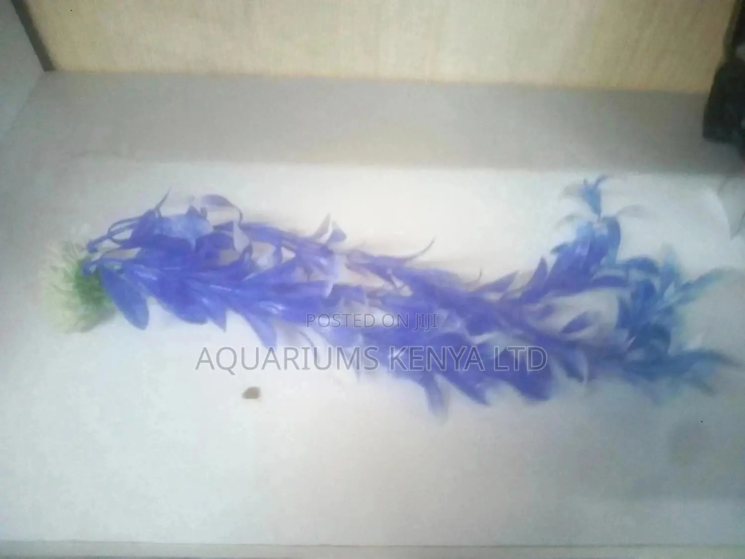 Aquarium Plants ,Aquarium Accessories