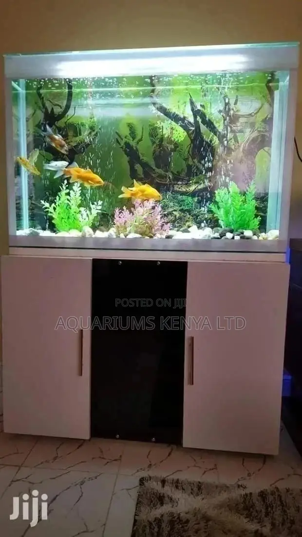 Aquarium Fish, Goldfish,Koi Fish, Guppies