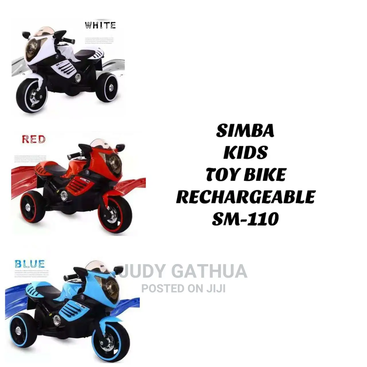 Rechetble Bike Model 110