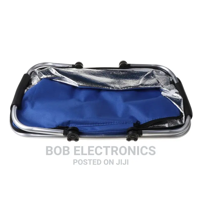 Foldable Insulated Cooler Picnic Bag